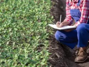 Análisis de tierras