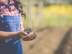 Cómo tasar un campo