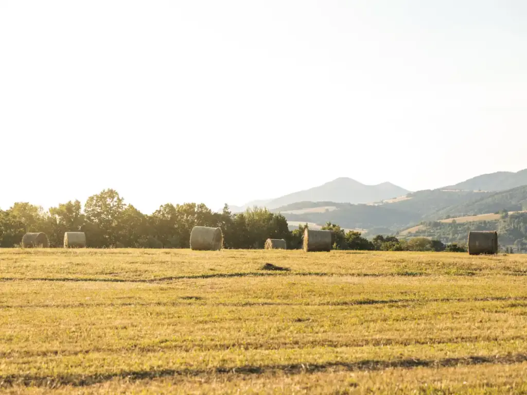 Cómo tasar un terreno rural en herencias