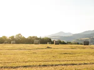Cómo tasar un terreno rural en herencias