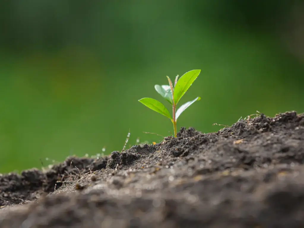 Depreciación de terrenos agrícolas