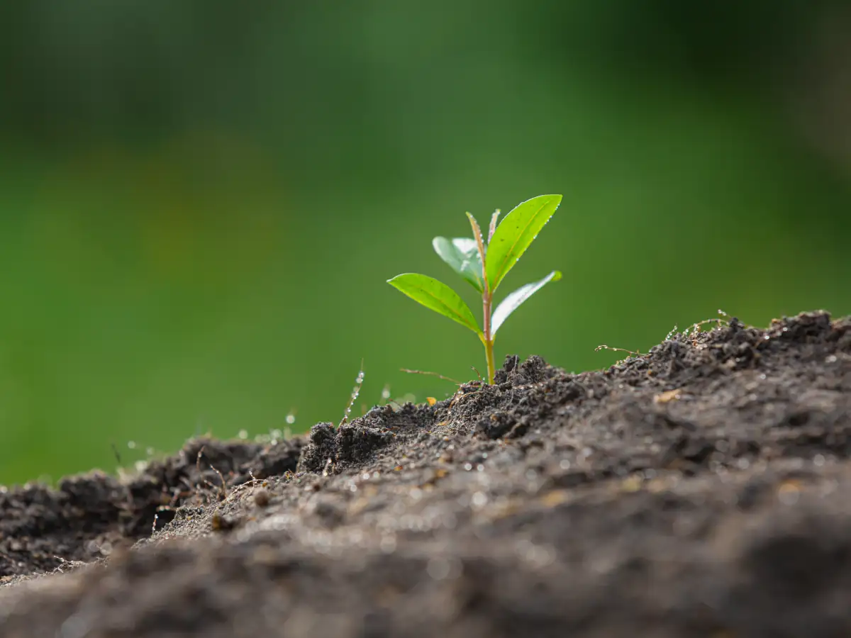 Depreciación de terrenos agrícolas