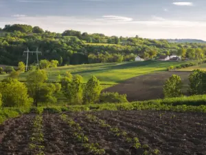 Invertir en terrenos agrícolas
