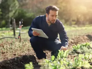 Valoración terreno agrícola